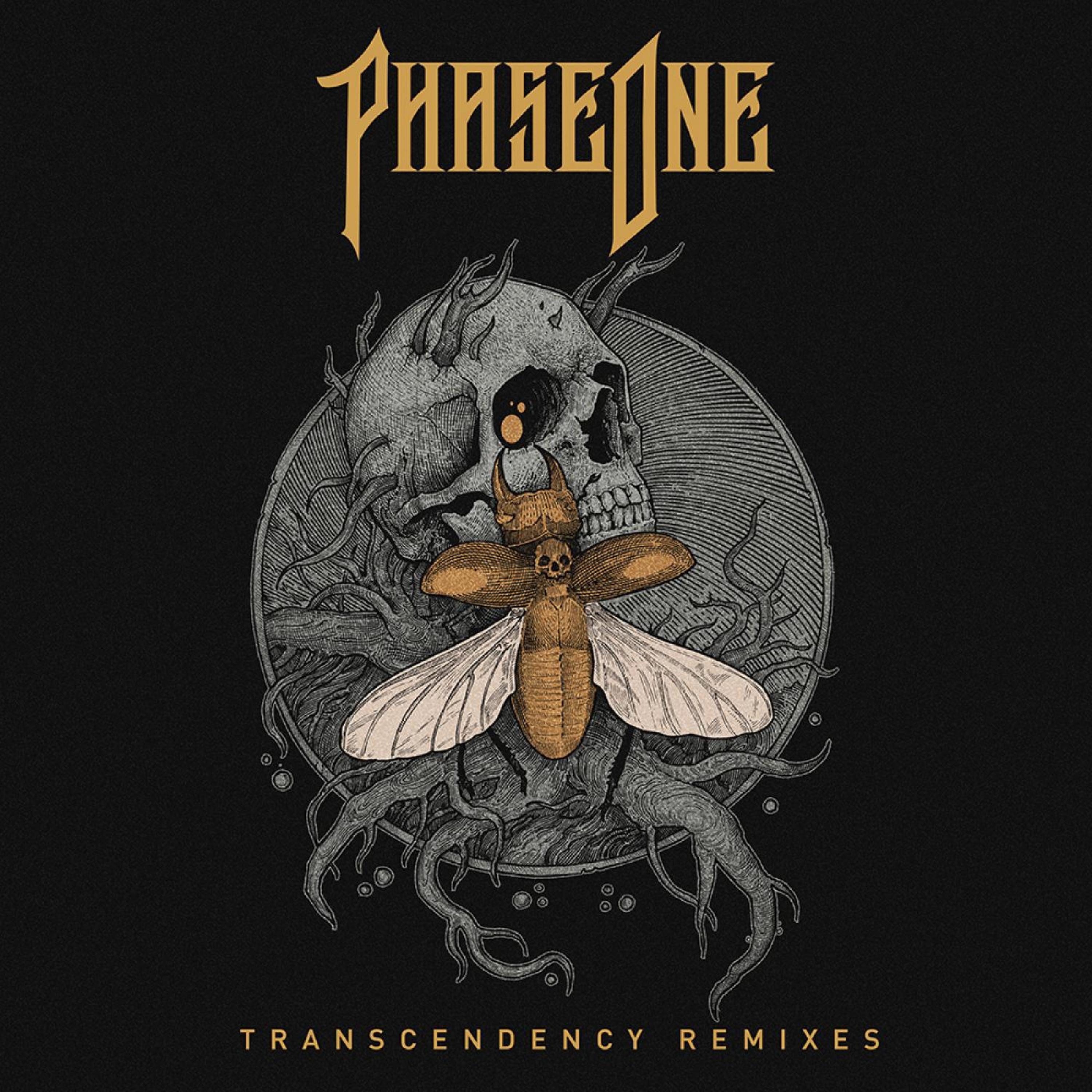 TRANSCENDENCY Remixes album cover