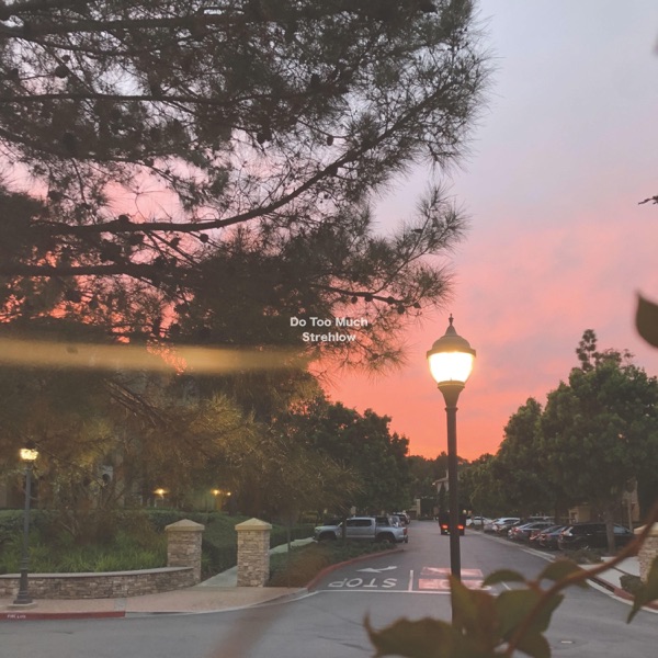 Do Too Much - Single album cover