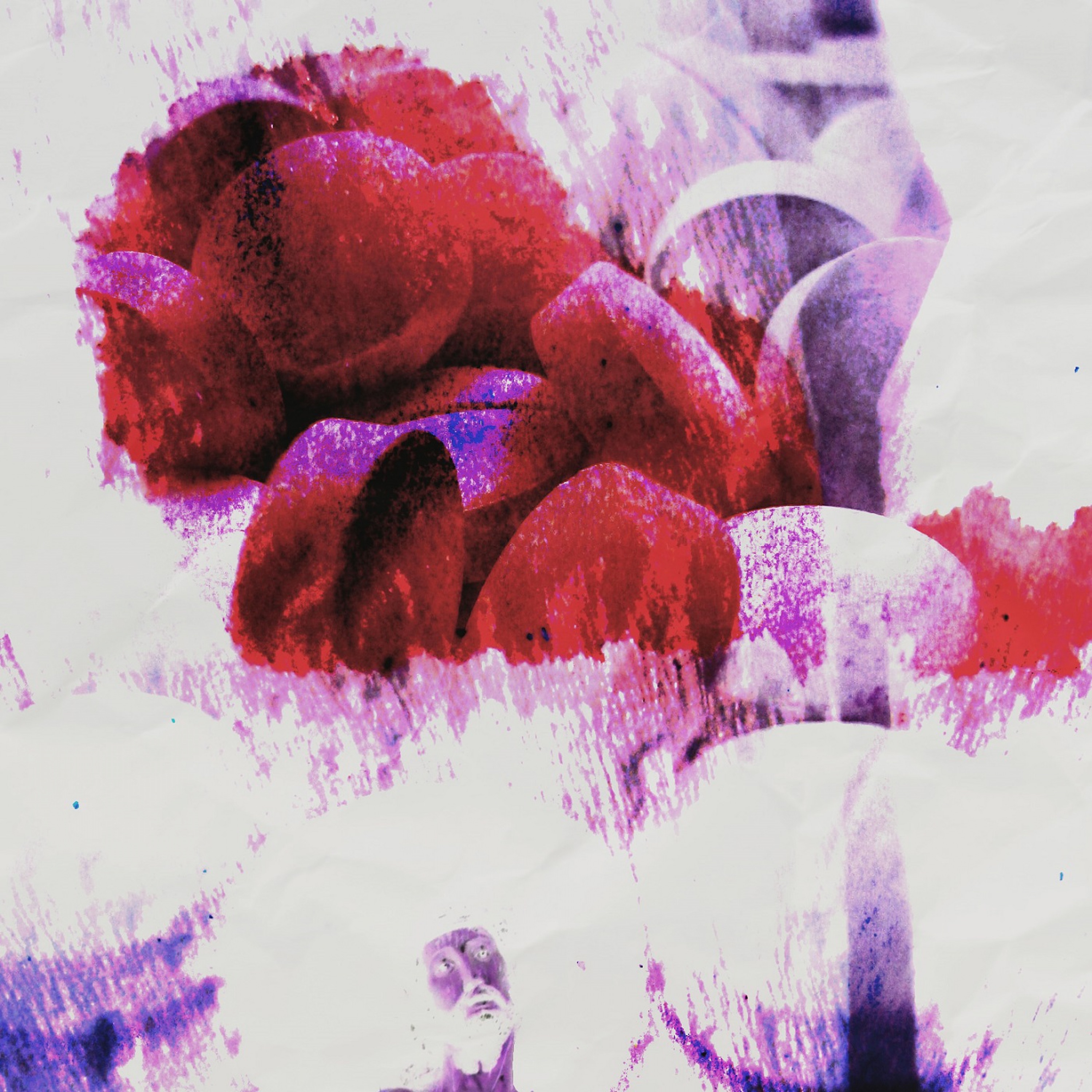 Pure Cure (feat. Jvcki Wai) - Single album cover
