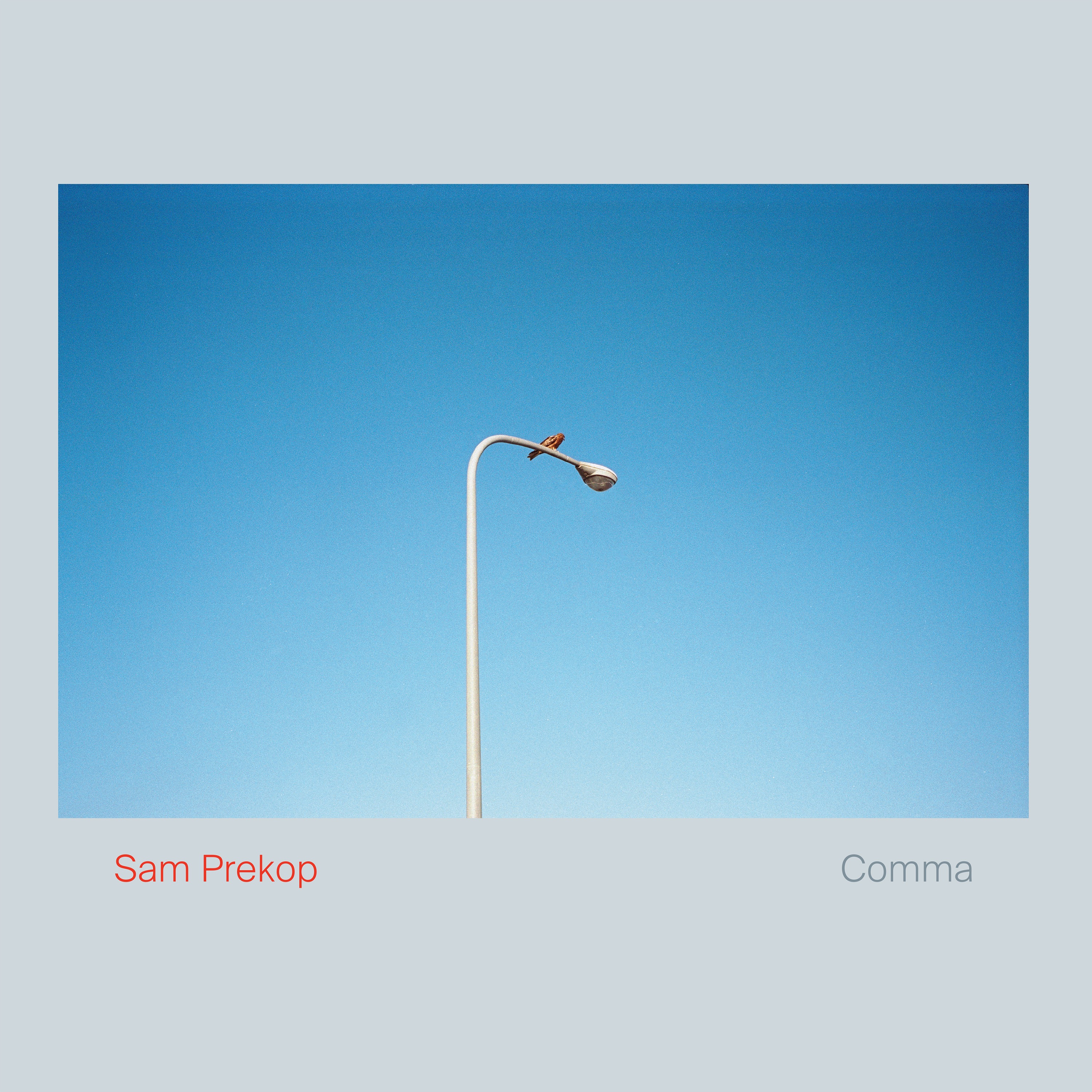 Comma album cover