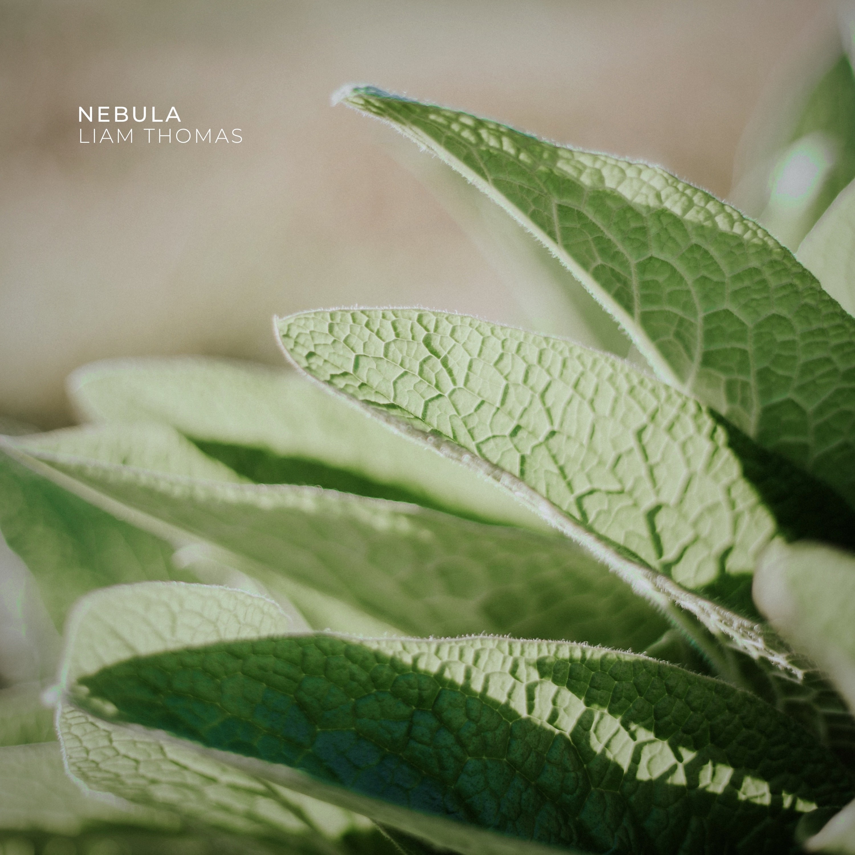 Nebula - Single album cover