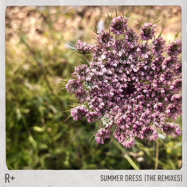 Summer Dress (The Remixes) - EP album cover