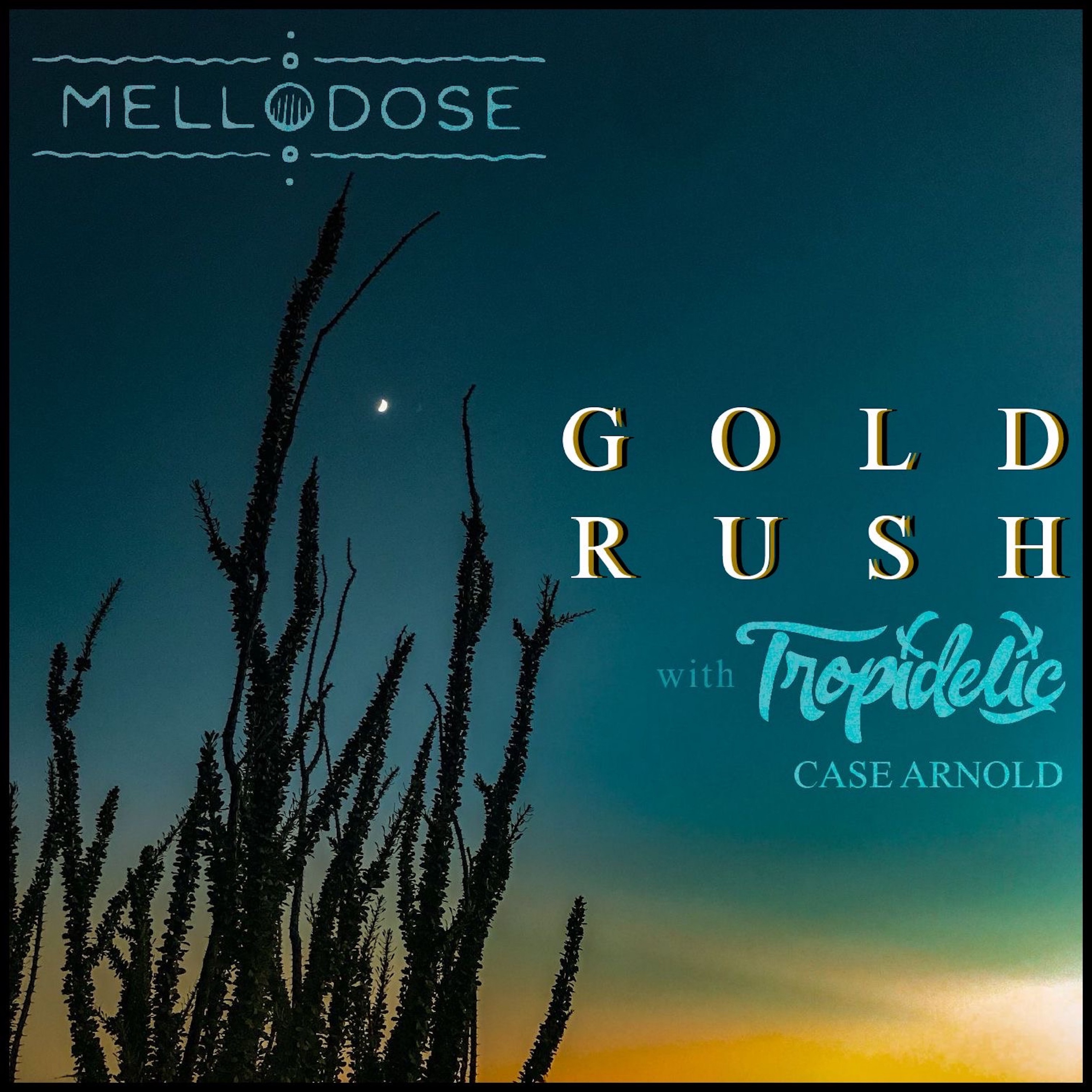 Gold Rush - Single album cover