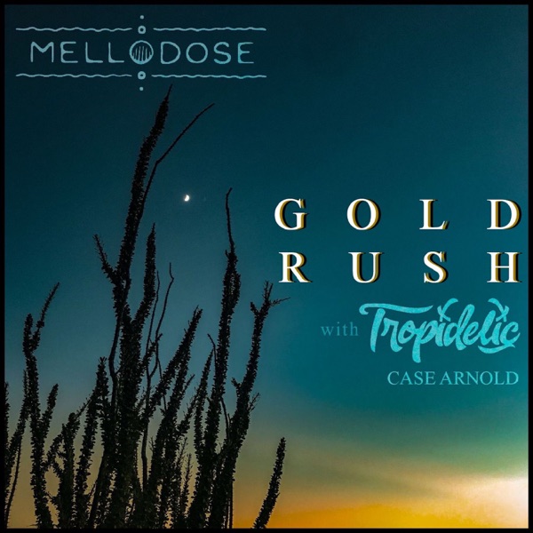 Gold Rush - Single album cover