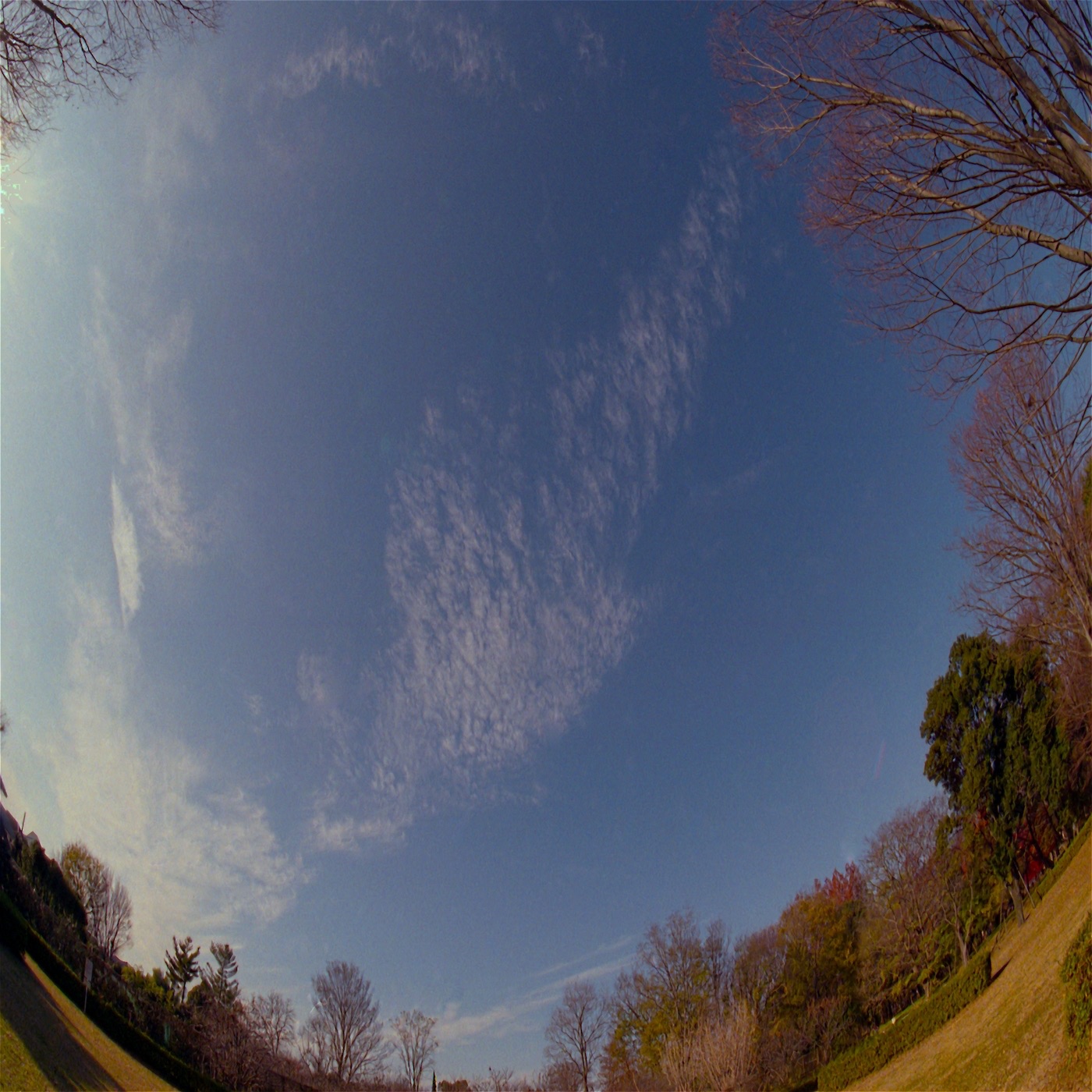 When the Earth Starts Spinning Backwards - EP album cover