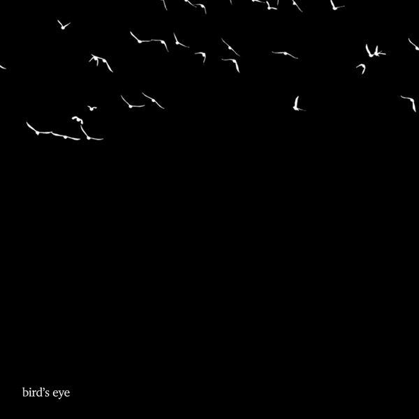 Bird's Eye - Single album cover