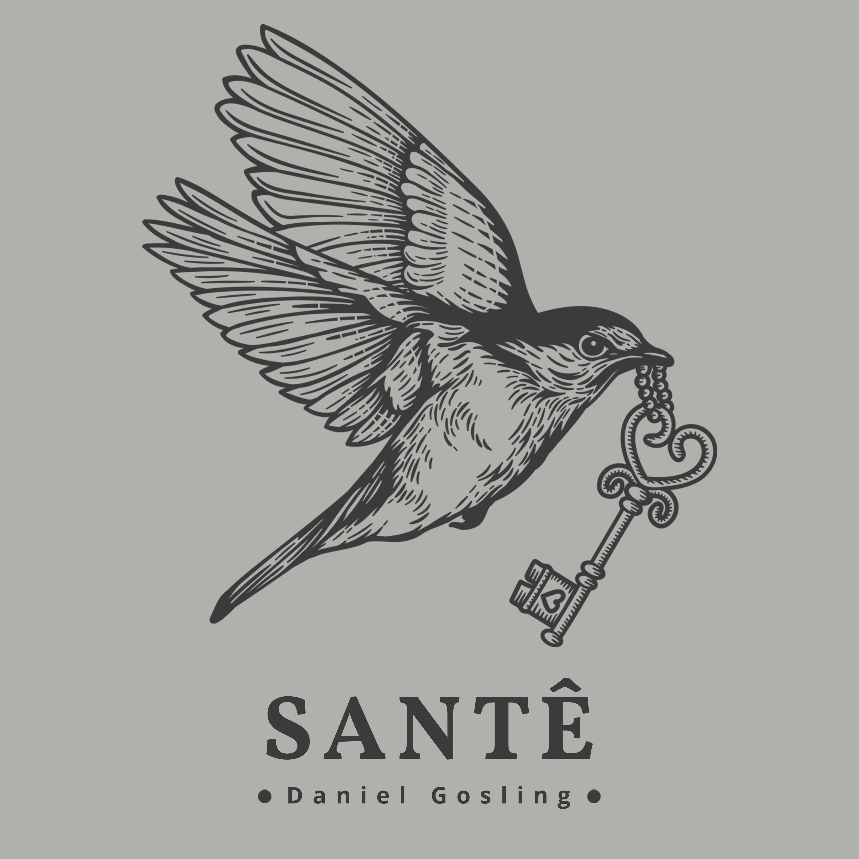 SANTÊ (feat. TONINHO HORTA) - Single album cover