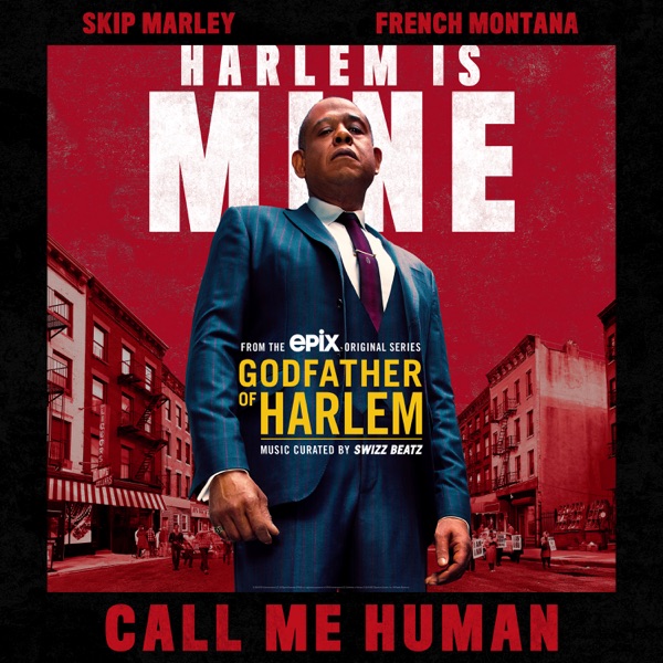 Call Me Human (feat. Skip Marley & French Montana) - Single album cover