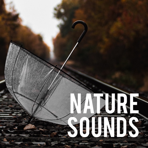 Nature Sounds album cover