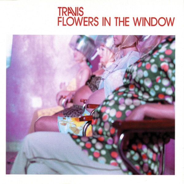 Flowers In The Window - Single album cover