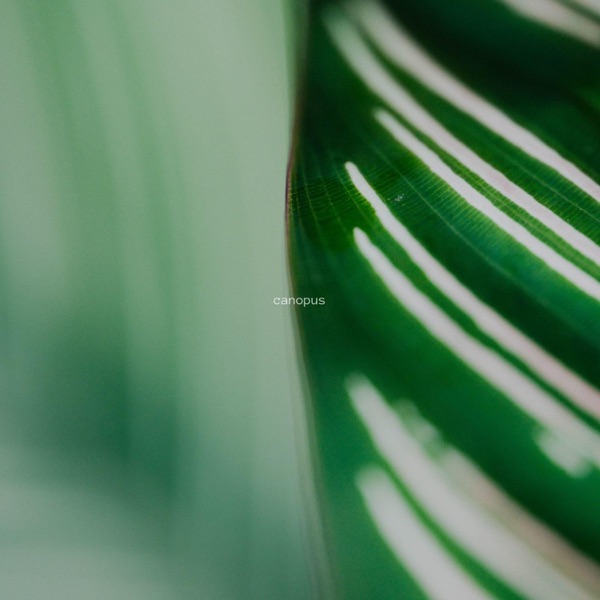 Canopus - Single album cover