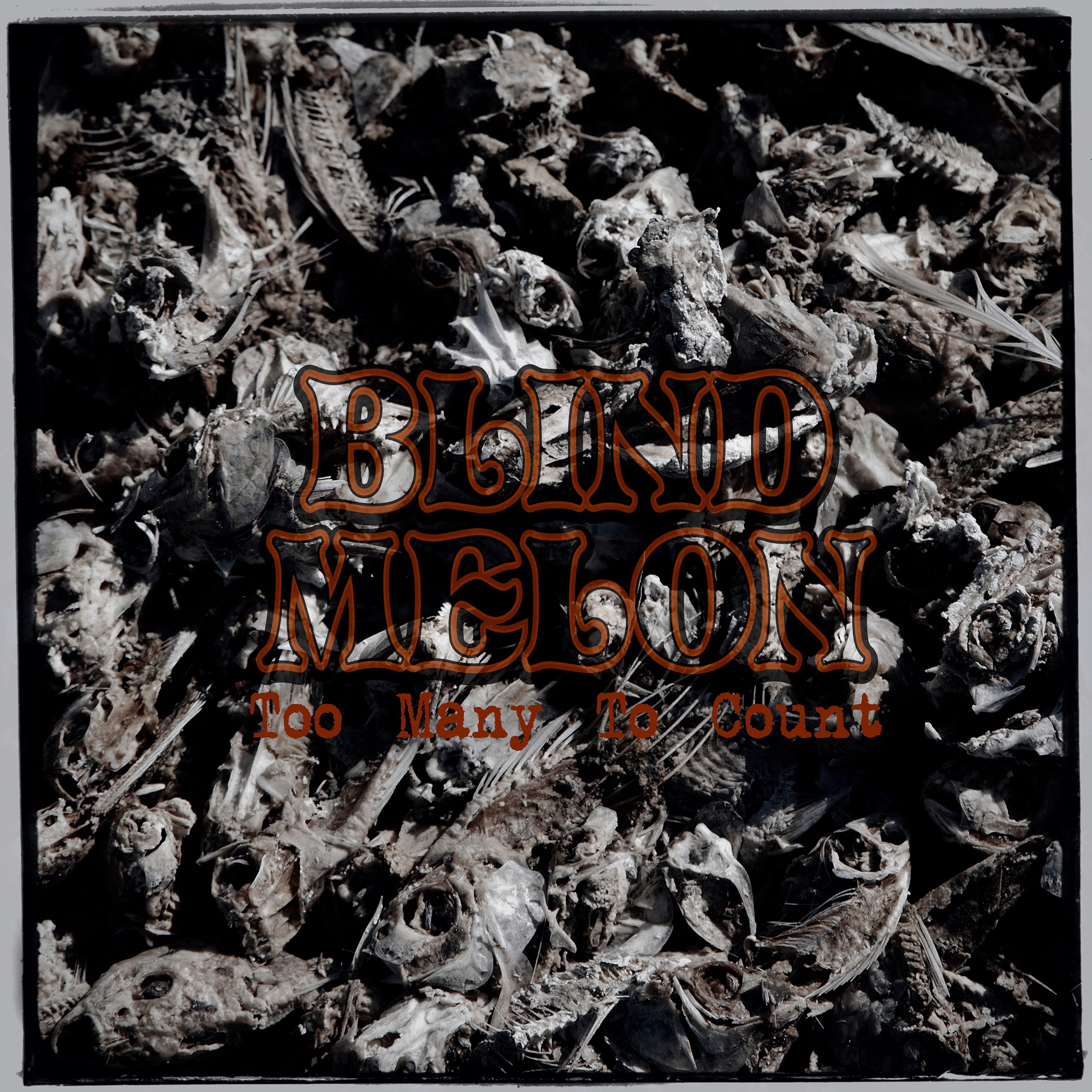 Too Many to Count - Single album cover
