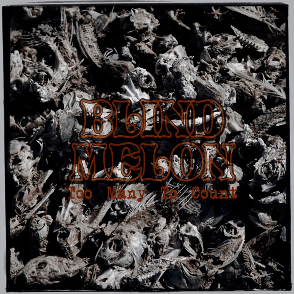 Too Many to Count - Single album cover