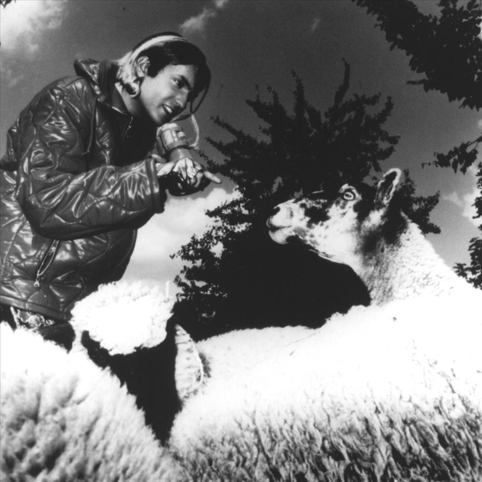 Babylon Zoo Portrait