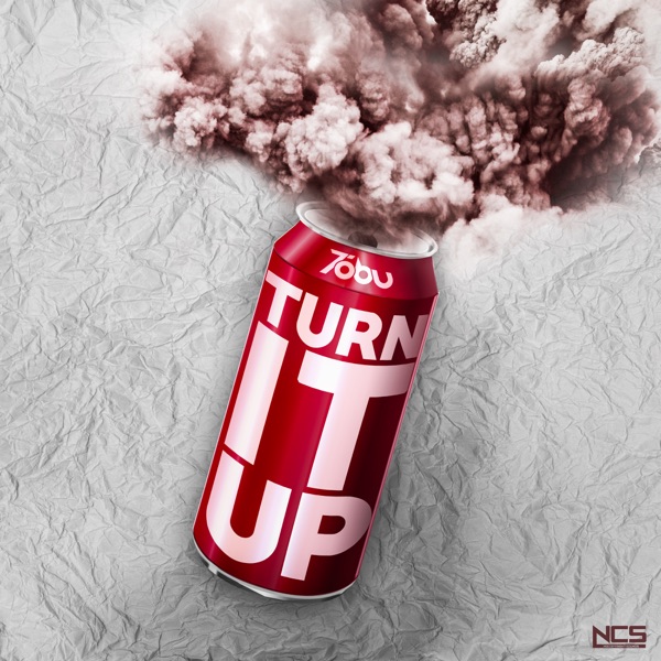 Turn It Up - Single album cover