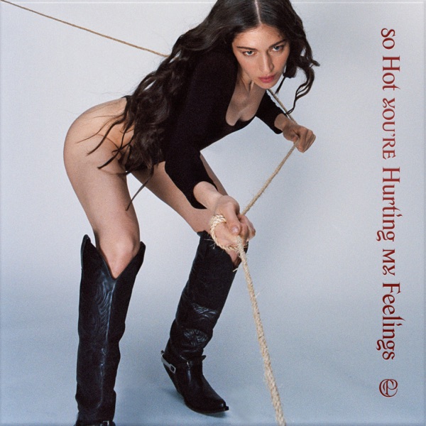 So Hot You're Hurting My Feelings - Single album cover