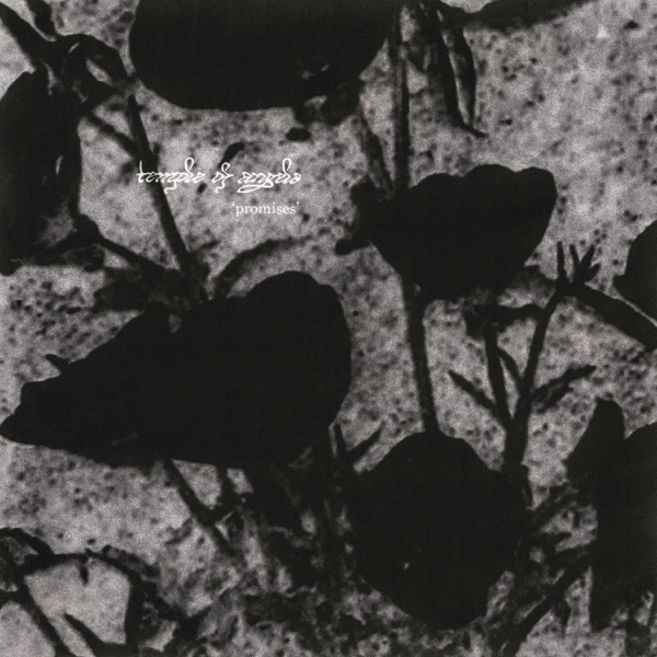 Promises - Single album cover