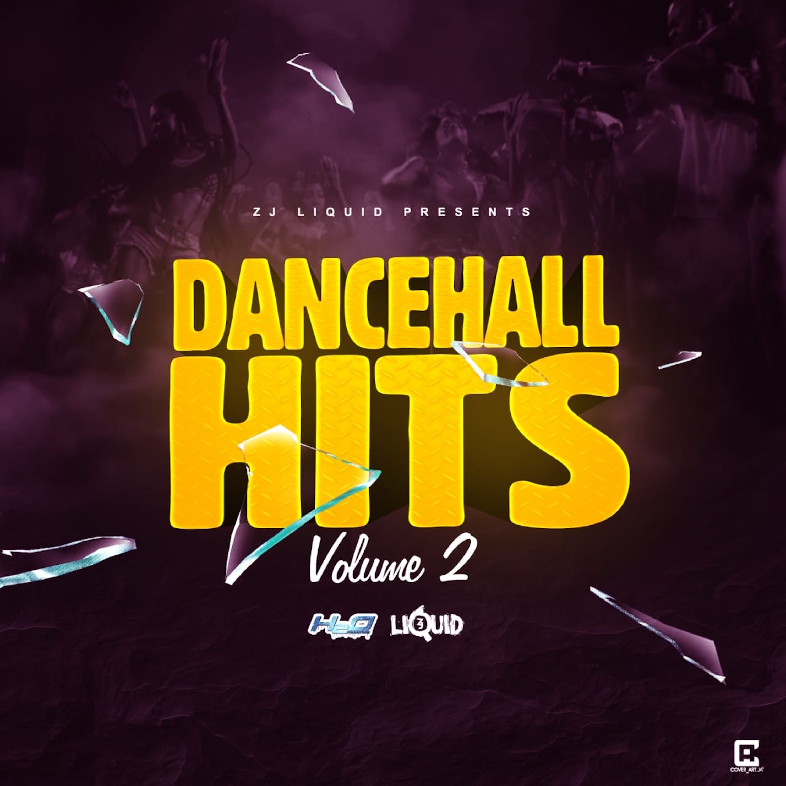 Dancehall Hits, Vol. 2 (feat. Masicka, Tifa, Zagga, Delly Ranx, Bugle, Wasp, Spice & Vybz Kartel) -  album cover