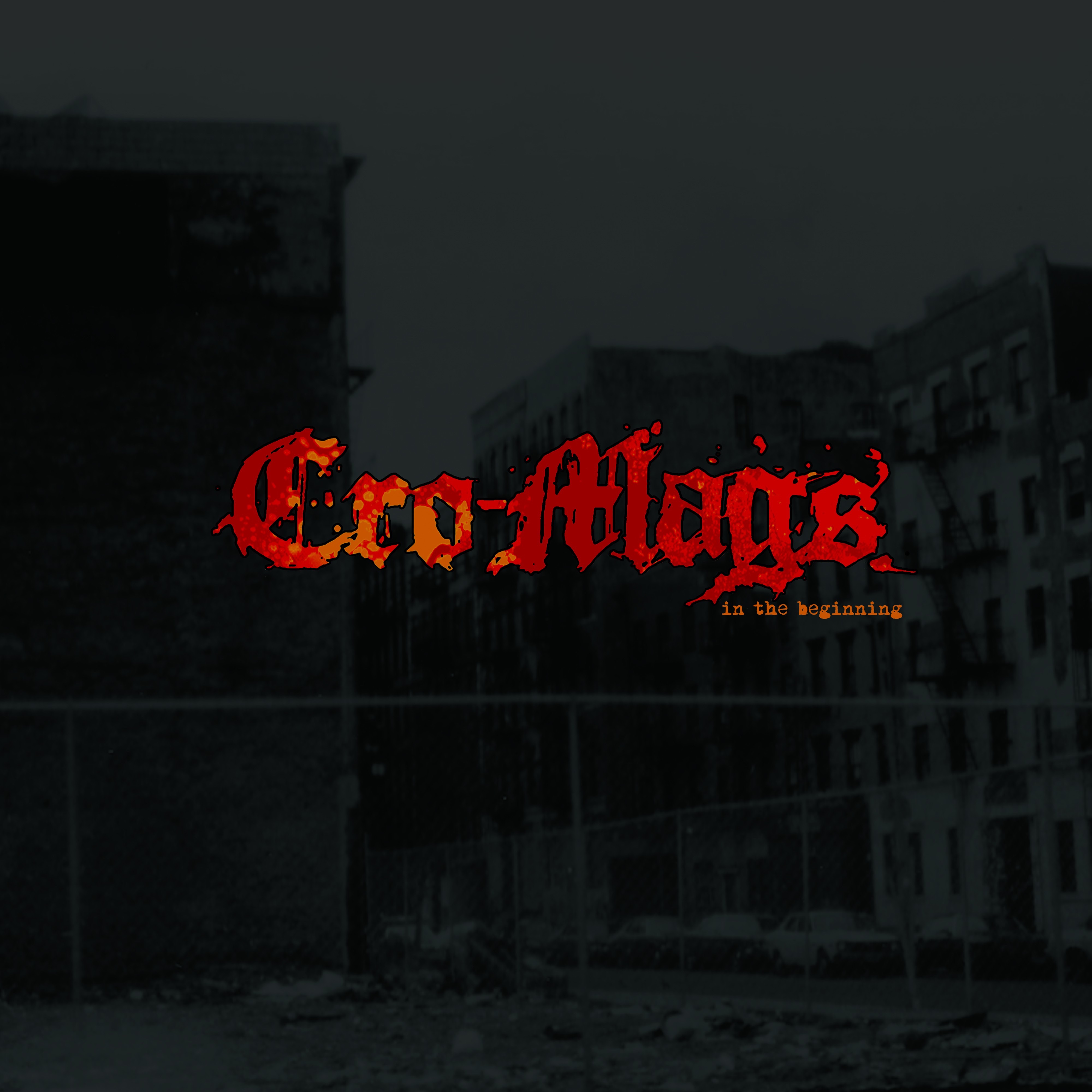 In the Beginning album cover