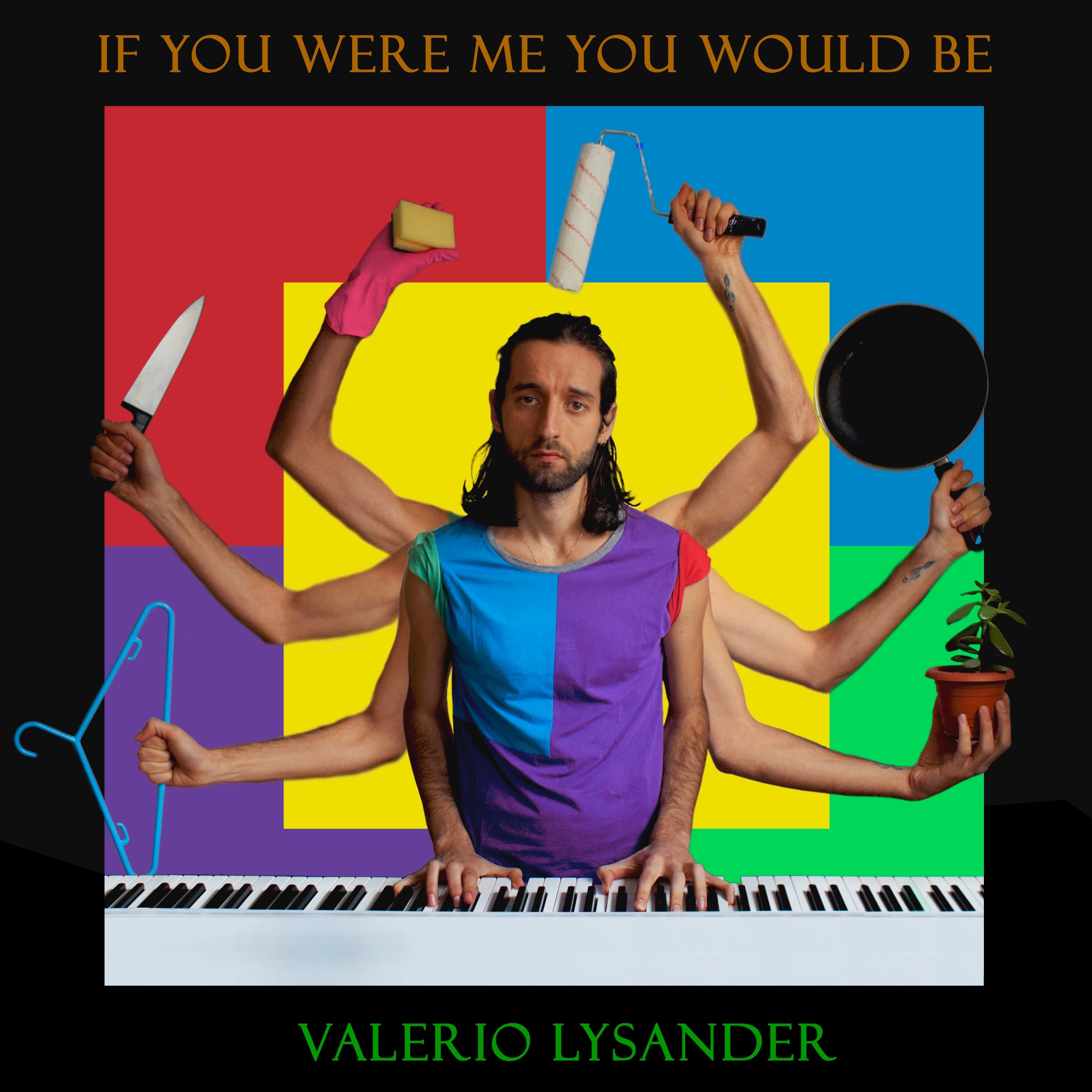 If You Were Me You Would Be - Single album cover