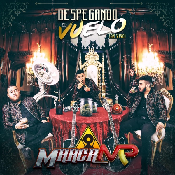 Despegando el Vuelo (En Vivo) album cover
