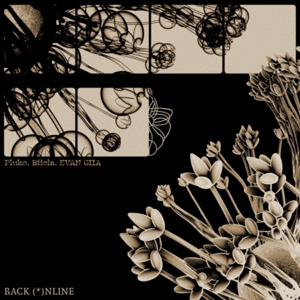 Back Online (feat. Biicla) - Single album cover