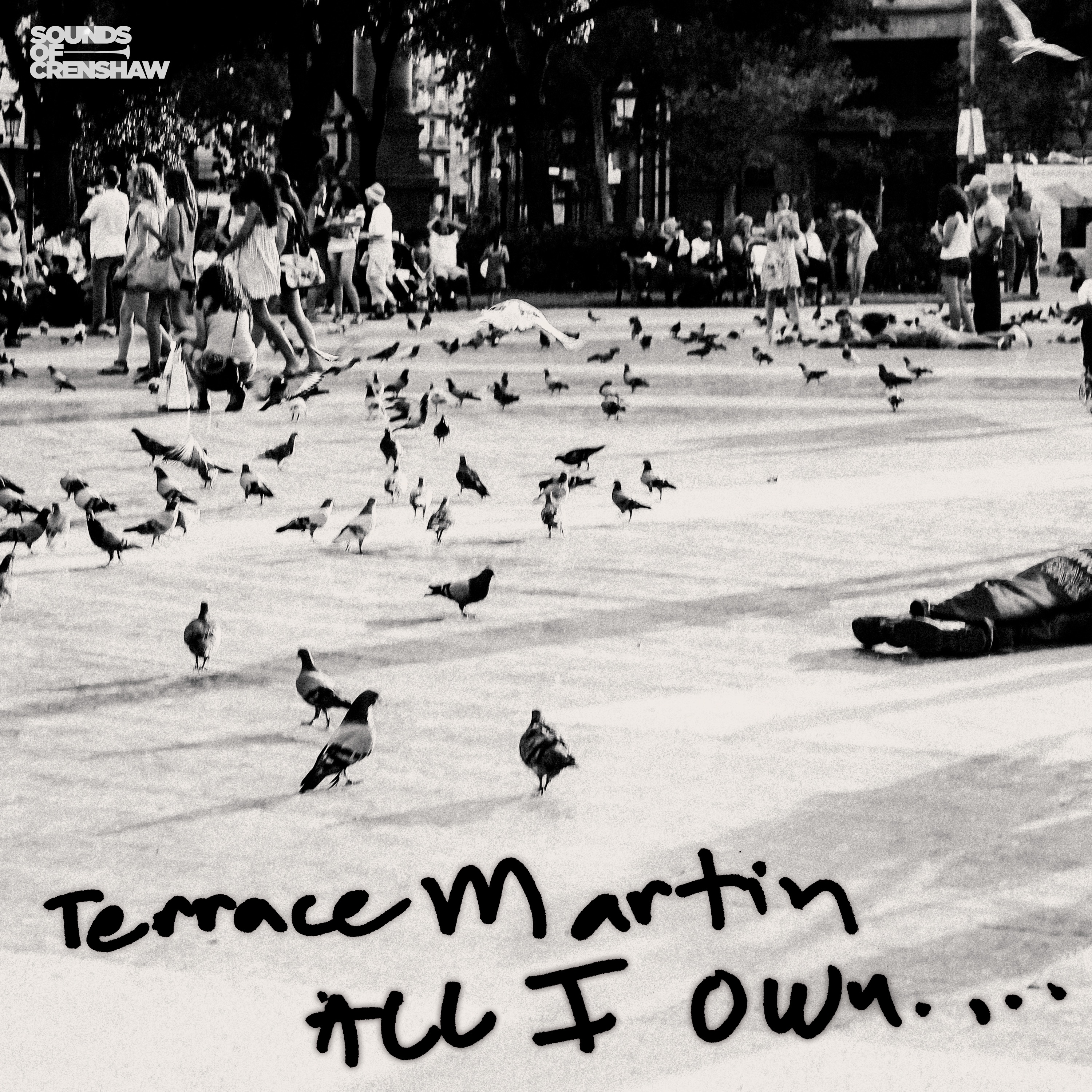 All I Own - Single album cover