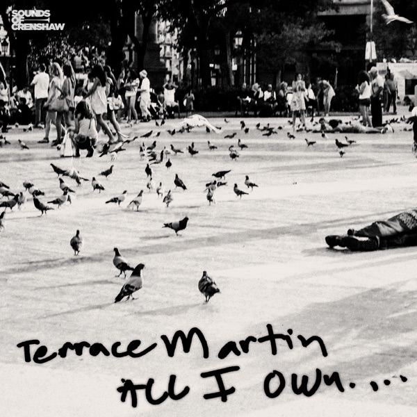 All I Own - Single album cover