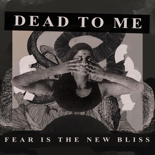 Fear Is the New Bliss - Single album cover