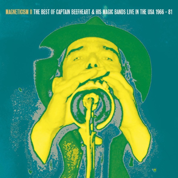 Magneticism II: The Best of (Live in the USA 1966-81) album cover