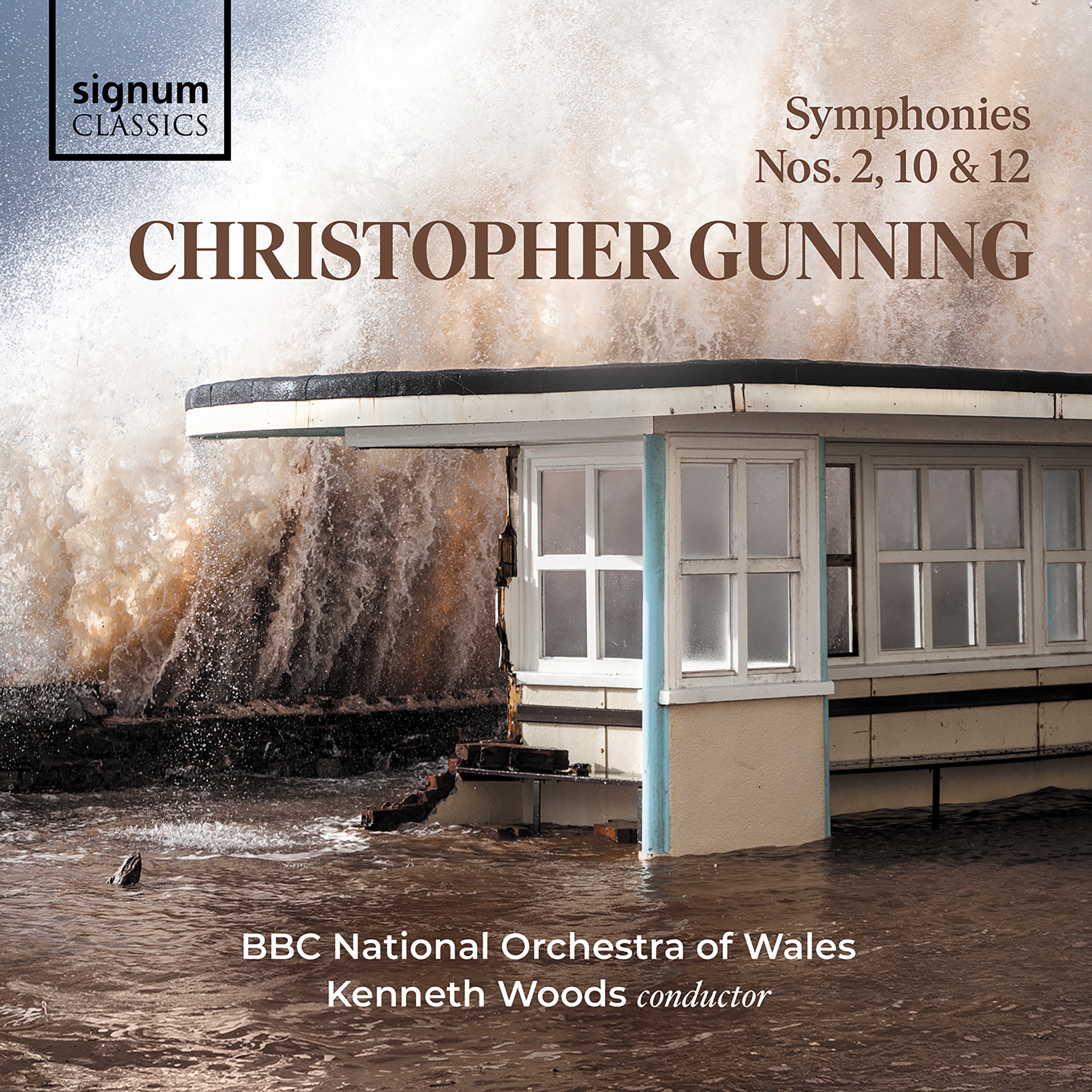 Christopher Gunning: Symphonies 10, 2 and 12 album cover