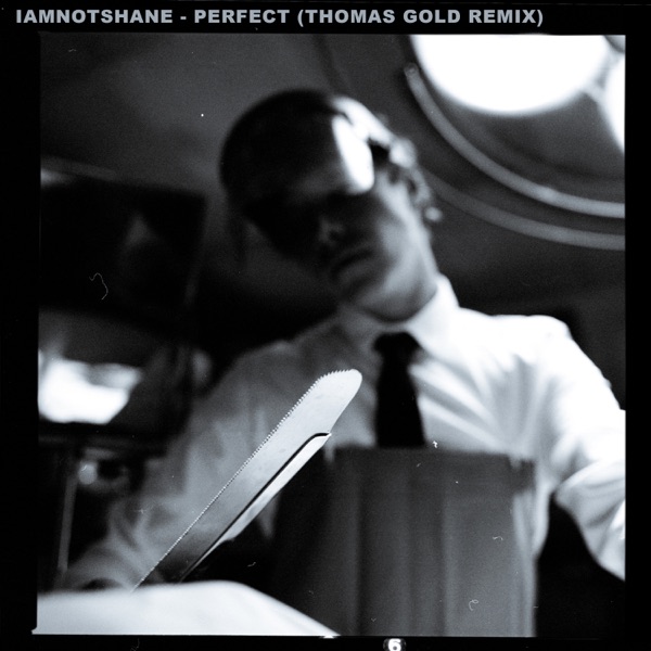 Perfect (Thomas Gold Remix) - Single album cover