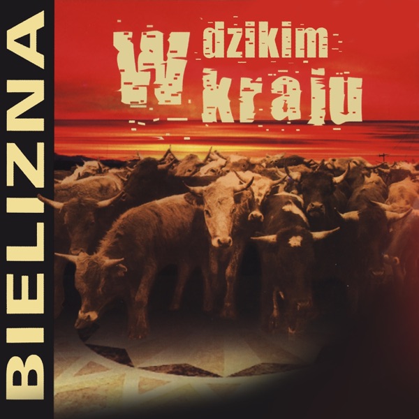 W dzikim kraju album cover