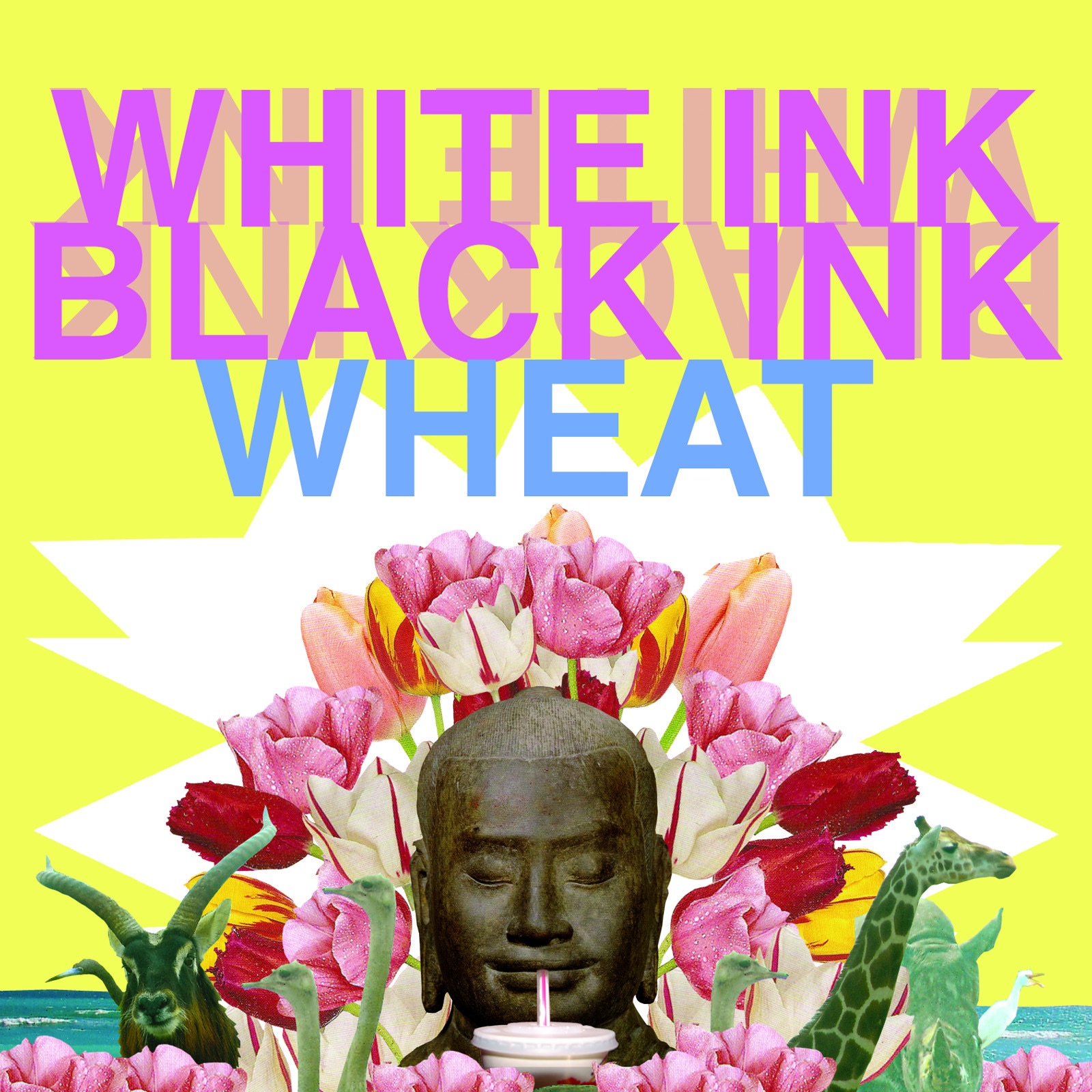White Ink, Black Ink album cover