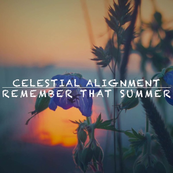 Remember That Summer - Single album cover