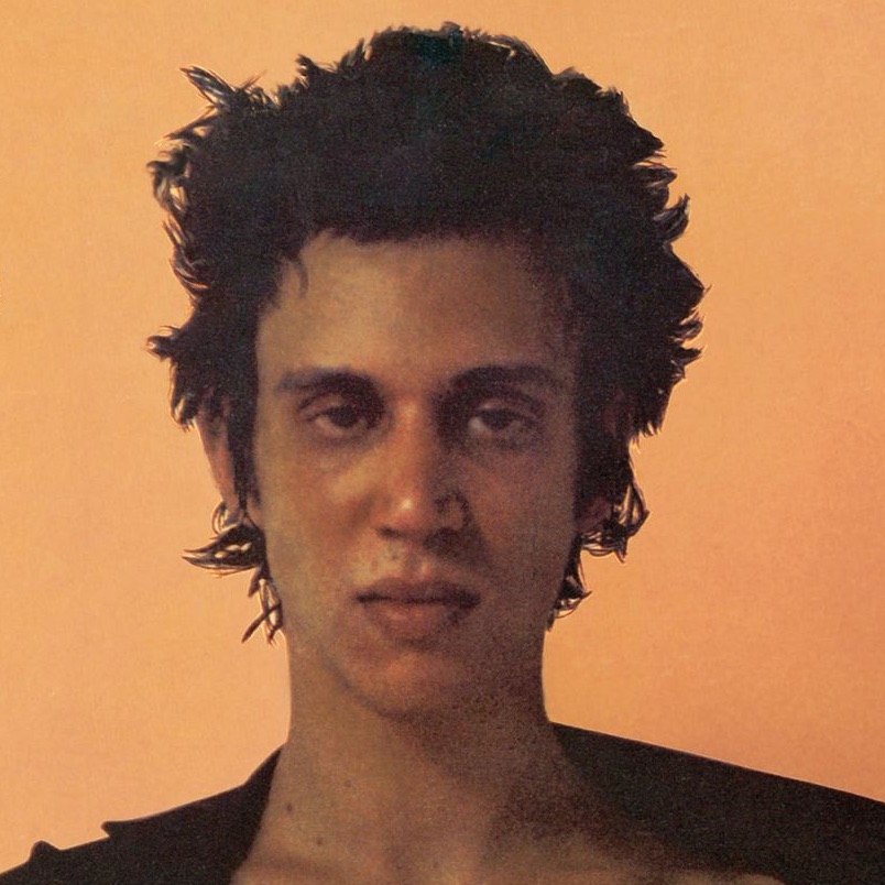 Richard Hell & The Voidoids Portrait