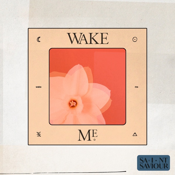 Wake Me - Single album cover