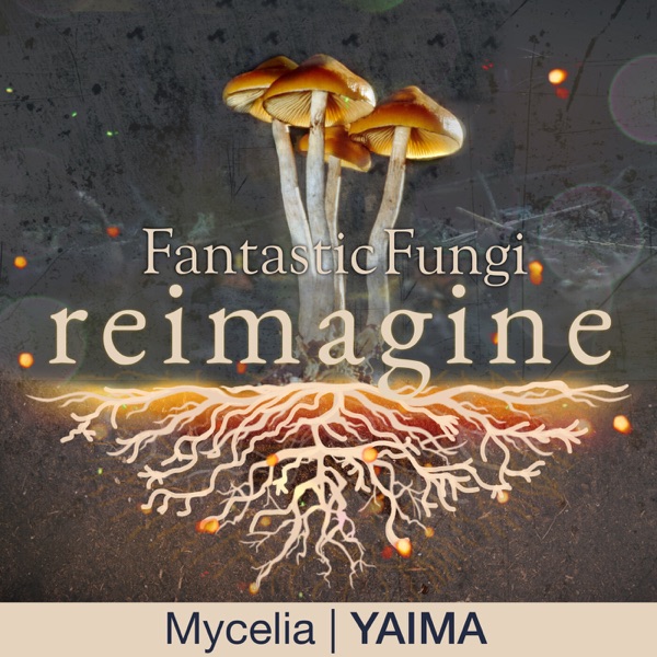 Mycelia (Fantastic Fungi: Reimagine) - Single album cover