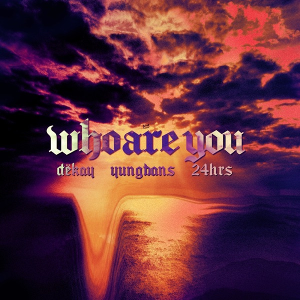 Who Are You (feat. Yung Bans & 24hrs) - Single album cover