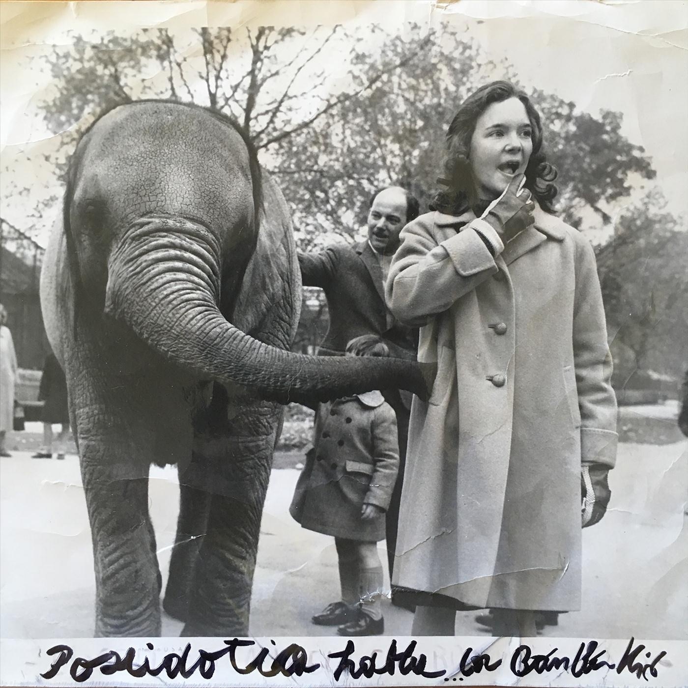 Poseidotica Habla Con Boom Boom Kid - Single album cover