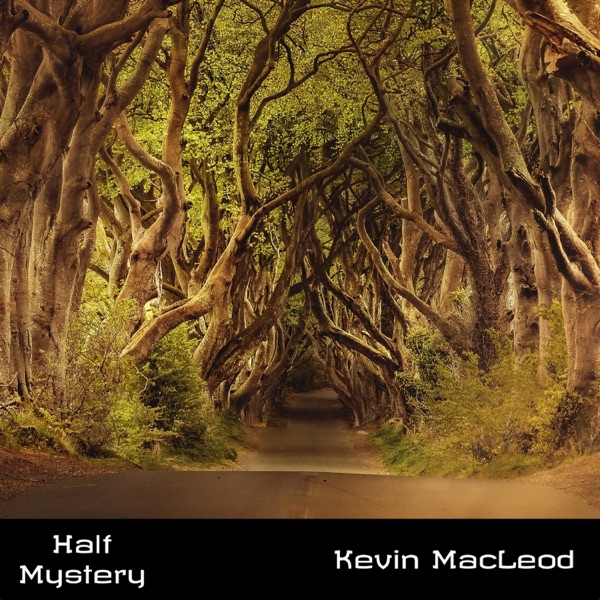 Half Mystery - Single album cover