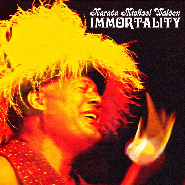 Immortality album cover