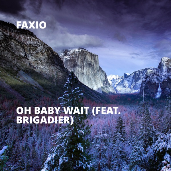 Oh Baby Wait (feat. Brigadier) - Single album cover