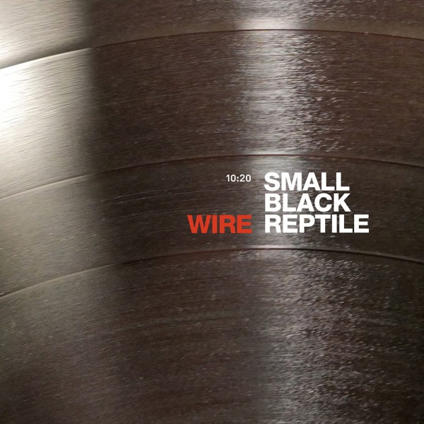 Small Black Reptile (10:20 Version) - Single album cover