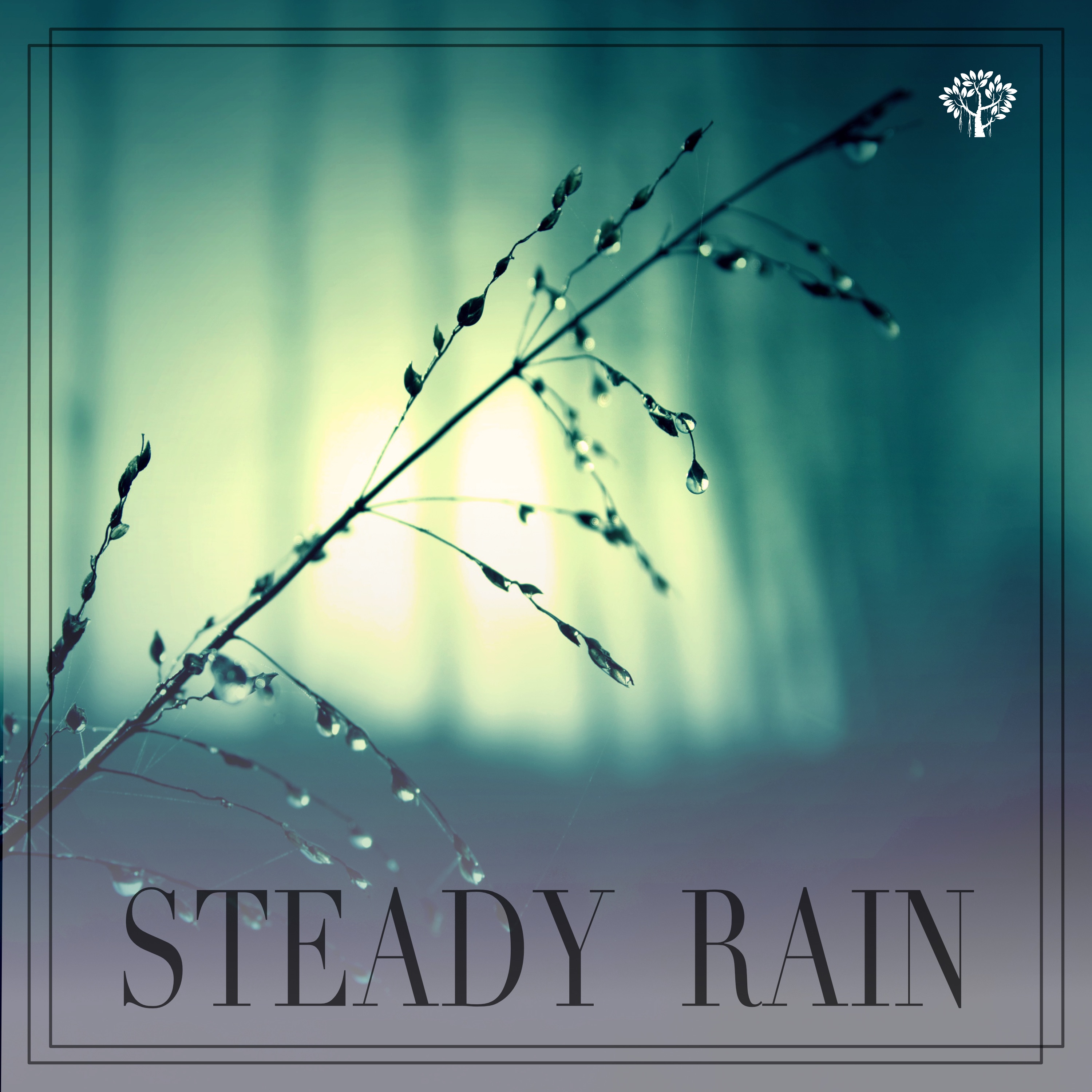 Steady Rain album cover