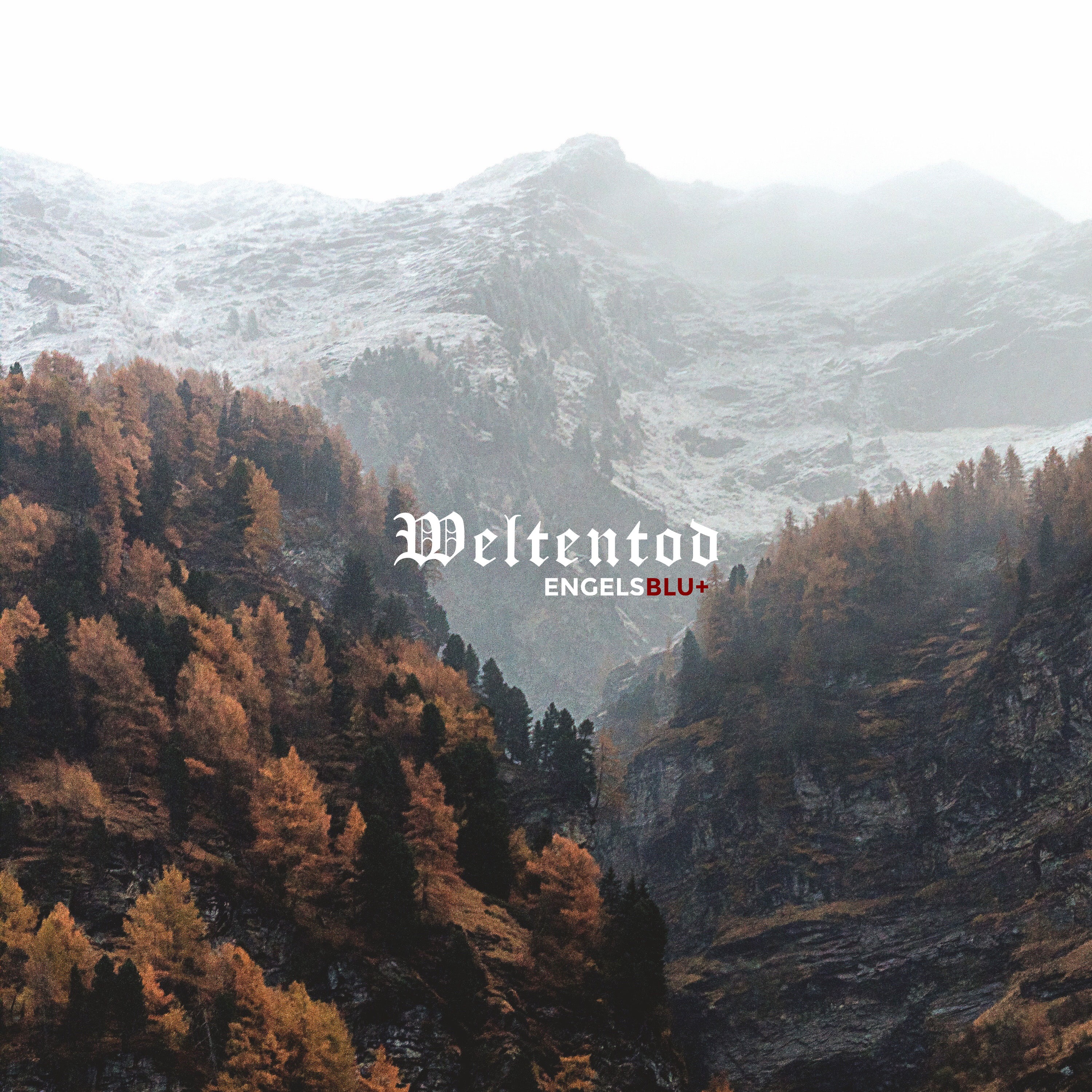 Weltentod - Single album cover