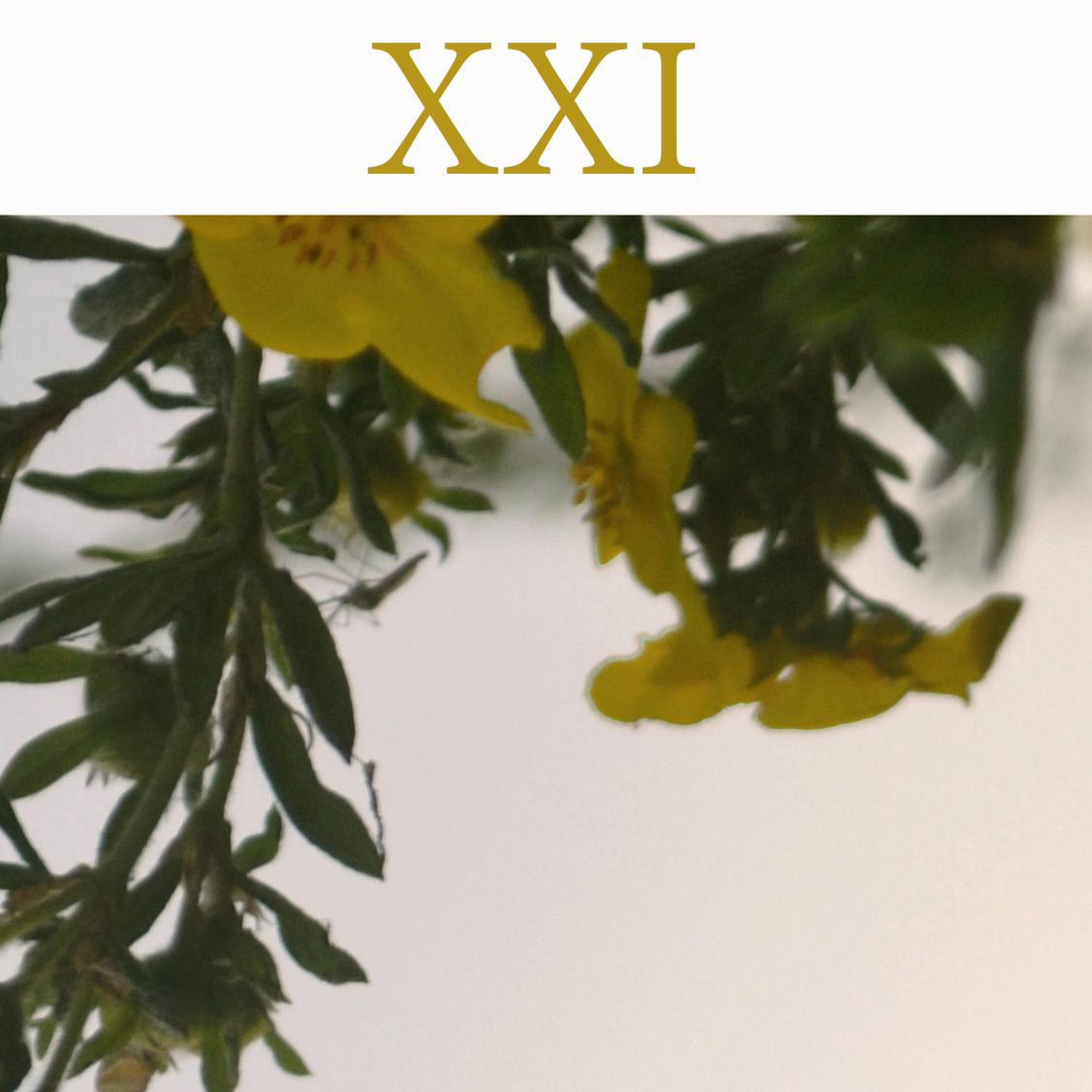XXI - EP album cover