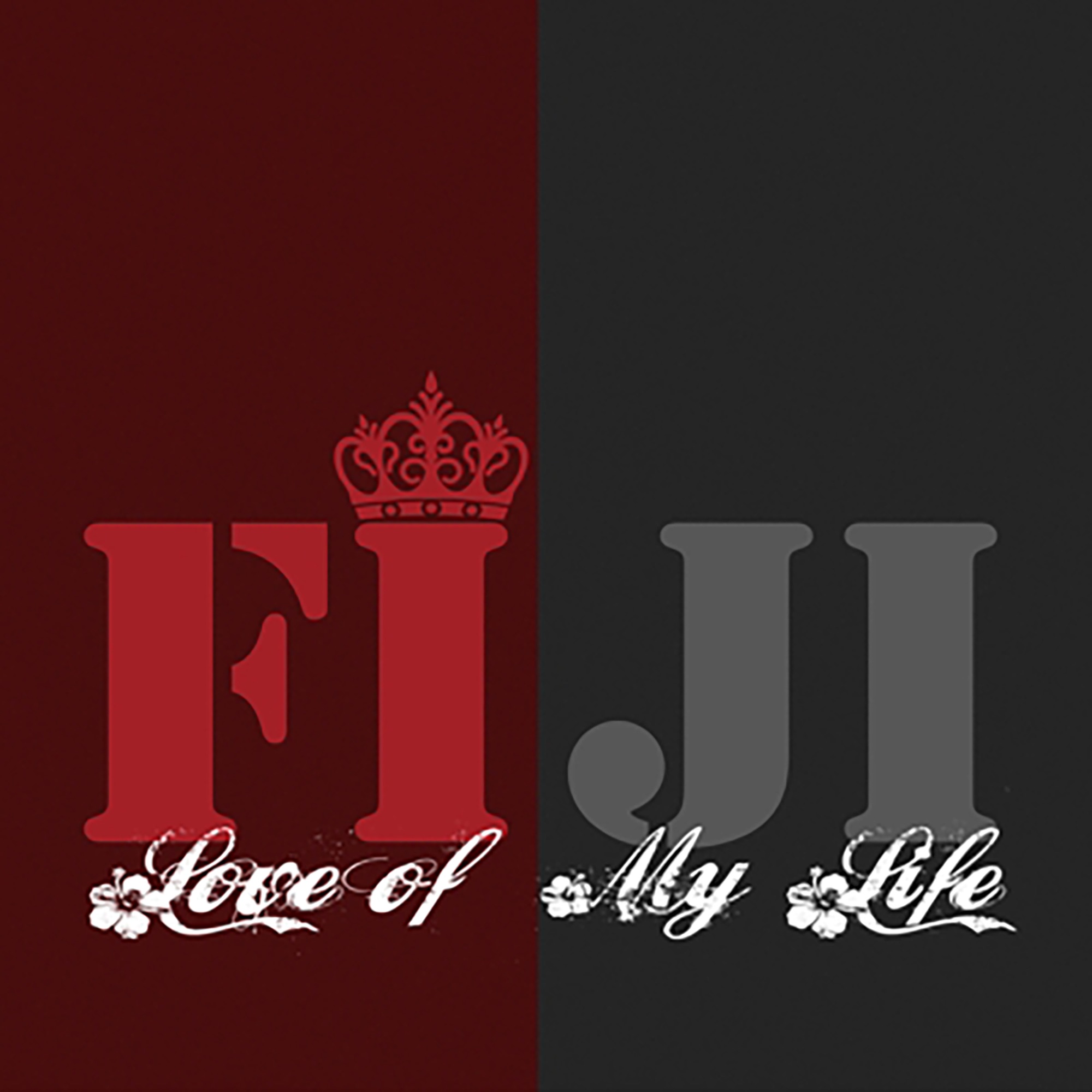 Love of My Life - Single album cover