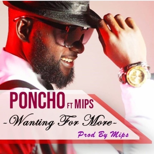 Wanting for More (feat. MIPS) - Single album cover