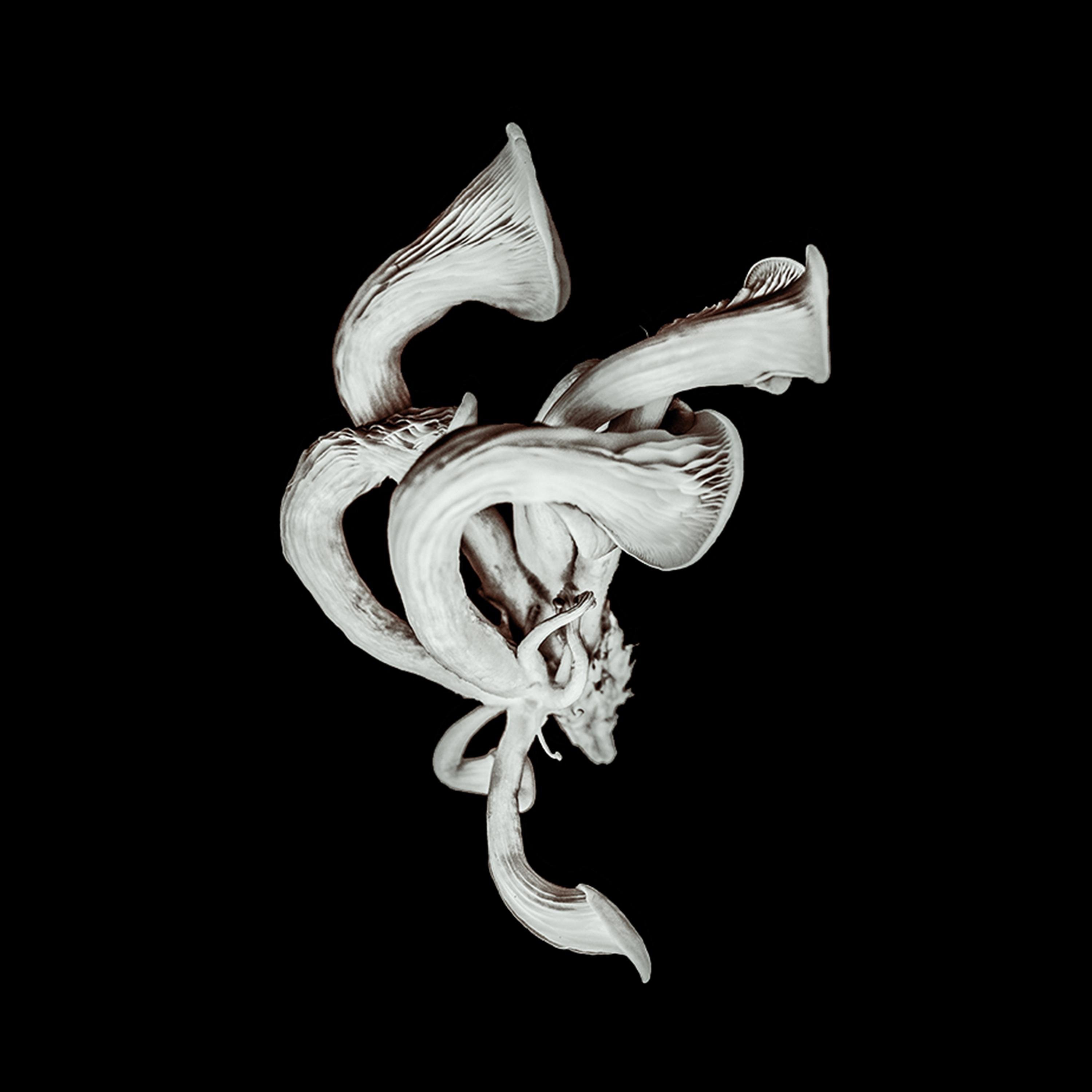 Beneath the Eyrie (Deluxe) album cover